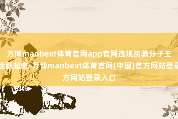 万博manbext体育官网app官网违规拐骗分子王人会活跃起来-万博manbext体育官网(中国)官方网站登录入口