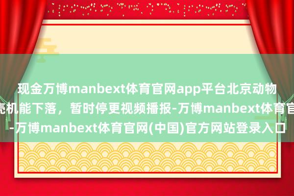 现金万博manbext体育官网app平台北京动物园：大熊猫“古古”躯壳机能下落，暂时停更视频播报-万博manbext体育官网(中国)官方网站登录入口