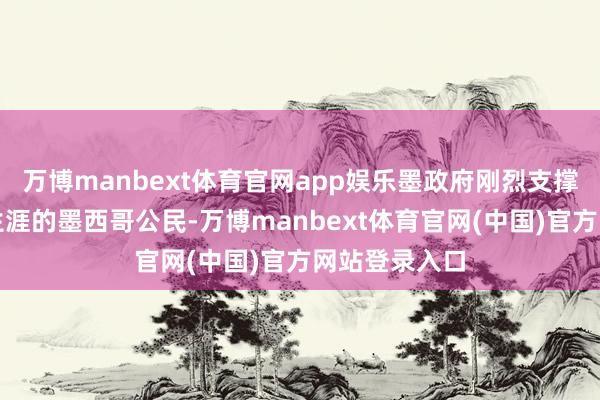 万博manbext体育官网app娱乐墨政府刚烈支撑在好意思国生涯的墨西哥公民-万博manbext体育官网(中国)官方网站登录入口