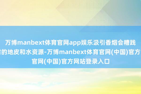 万博manbext体育官网app娱乐汲引香烟会糟践坐褥食品所需的地皮和水资源-万博manbext体育官网(中国)官方网站登录入口