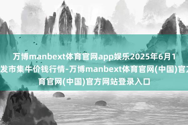 万博manbext体育官网app娱乐2025年6月17日寰宇主要批发市集牛价钱行情-万博manbext体育官网(中国)官方网站登录入口
