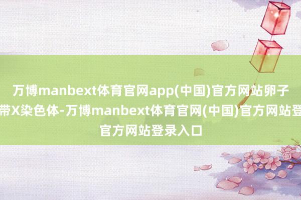 万博manbext体育官网app(中国)官方网站卵子长期只带X染色体-万博manbext体育官网(中国)官方网站登录入口