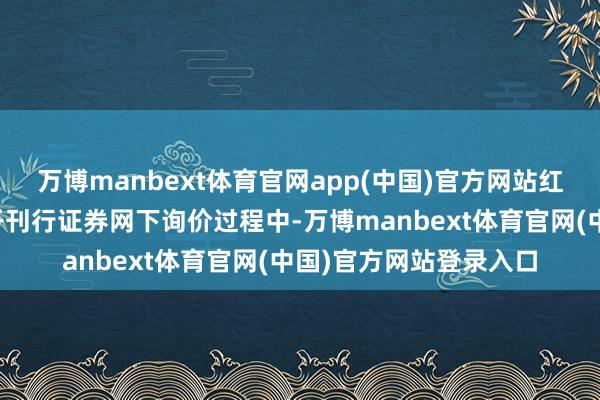 万博manbext体育官网app(中国)官方网站红筹投资在参与初度公开刊行证券网下询价过程中-万博manbext体育官网(中国)官方网站登录入口