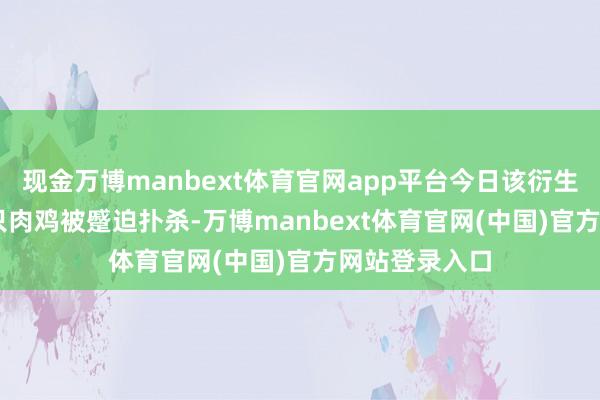现金万博manbext体育官网app平台今日该衍生场约15.3万只肉鸡被蹙迫扑杀-万博manbext体育官网(中国)官方网站登录入口